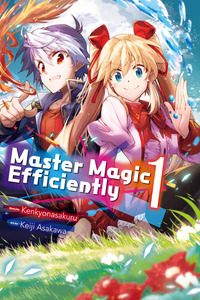 The Mage Will Master Magic Efficiently in His Second Life