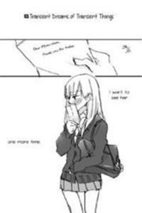 Sueños transitorios de cosas transitorias