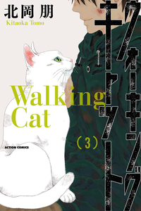 Walking Cat
