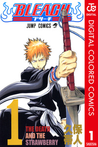 Bleach Full Color