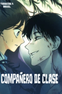 Compañero De Clase