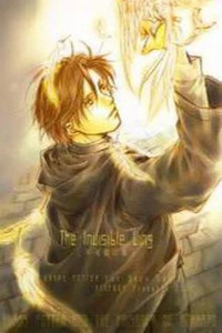 Harry Potter dj - The Invisible Wing
