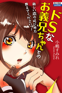 Do S na Oniichan to no Atarashii Koi no Hajimekata Oshiete Kudasai!