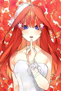GO TOUBUN NO HANAYOME- ITSUKI DOUJINS RARECHEESE A COLOR