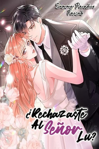 ¿Rechazaste al Sr. Lu?