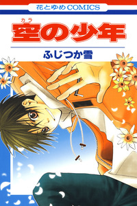 The Boy from the Sky