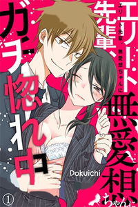 Elite Senpai Buaiso chan ni Gachihorechuu