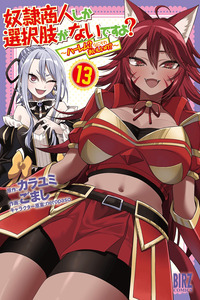 Is the Only Option a Slave Merchant?: Harem? What is that, is It Tasty?