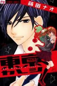Tokyo Boyfriend